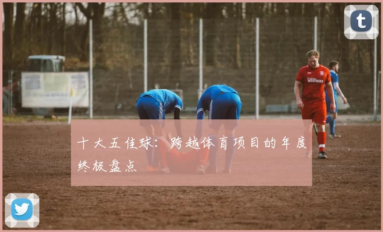 十大五佳球:跨越体育项目的年度终极盘点